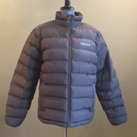 marmot puffer